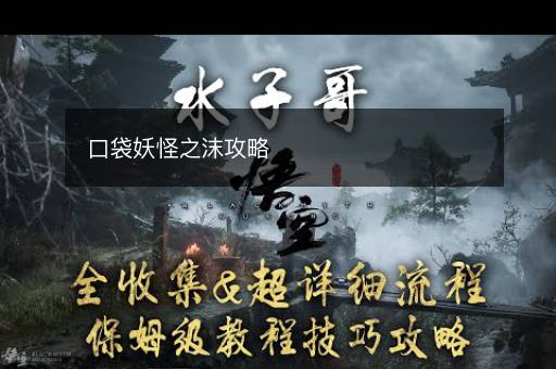 口袋妖怪之沫攻略